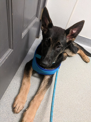 1038 Centre Turnpike, Orwigsburg, PA 17961, USA