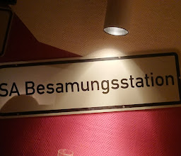 Gutzkowclub e.V. photo