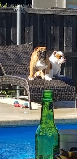 Pet Supply Store «Pet Supplies Plus», reviews and photos, 1031 Northwest Hwy, Garland, TX 75041, USA