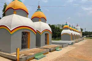 Laxmannatha Mahashaya Palace image