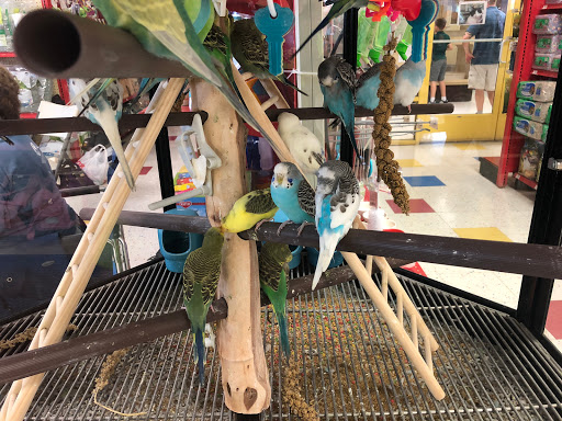 Pet Supply Store «Petco Animal Supplies», reviews and photos, 13053 Lee Jackson Memorial Hwy b, Fairfax, VA 22033, USA