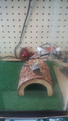 Pet Supply Store «Pet Supplies Plus», reviews and photos, 508 E Stroop Rd, Kettering, OH 45429, USA