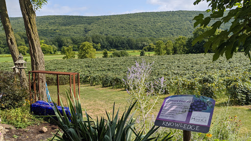 Winery «Inspire Moore Winery», reviews and photos, 197 N Main St, Naples, NY 14512, USA