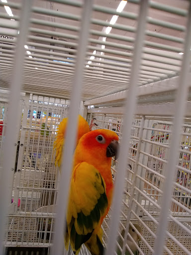 Pet Supply Store «Pet Supermarket, Inc.», reviews and photos, 598 N McCarran Blvd, Sparks, NV 89431, USA