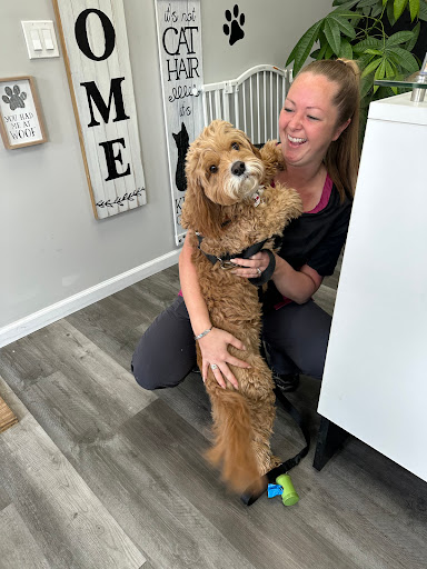 Photo of Amys Pet Palace - Dog And Cat Grooming