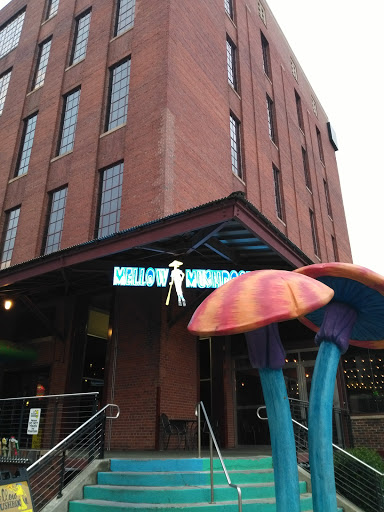 Stadium «Durham Bulls Athletic Park», reviews and photos, 409 Blackwell St, Durham, NC 27701, USA