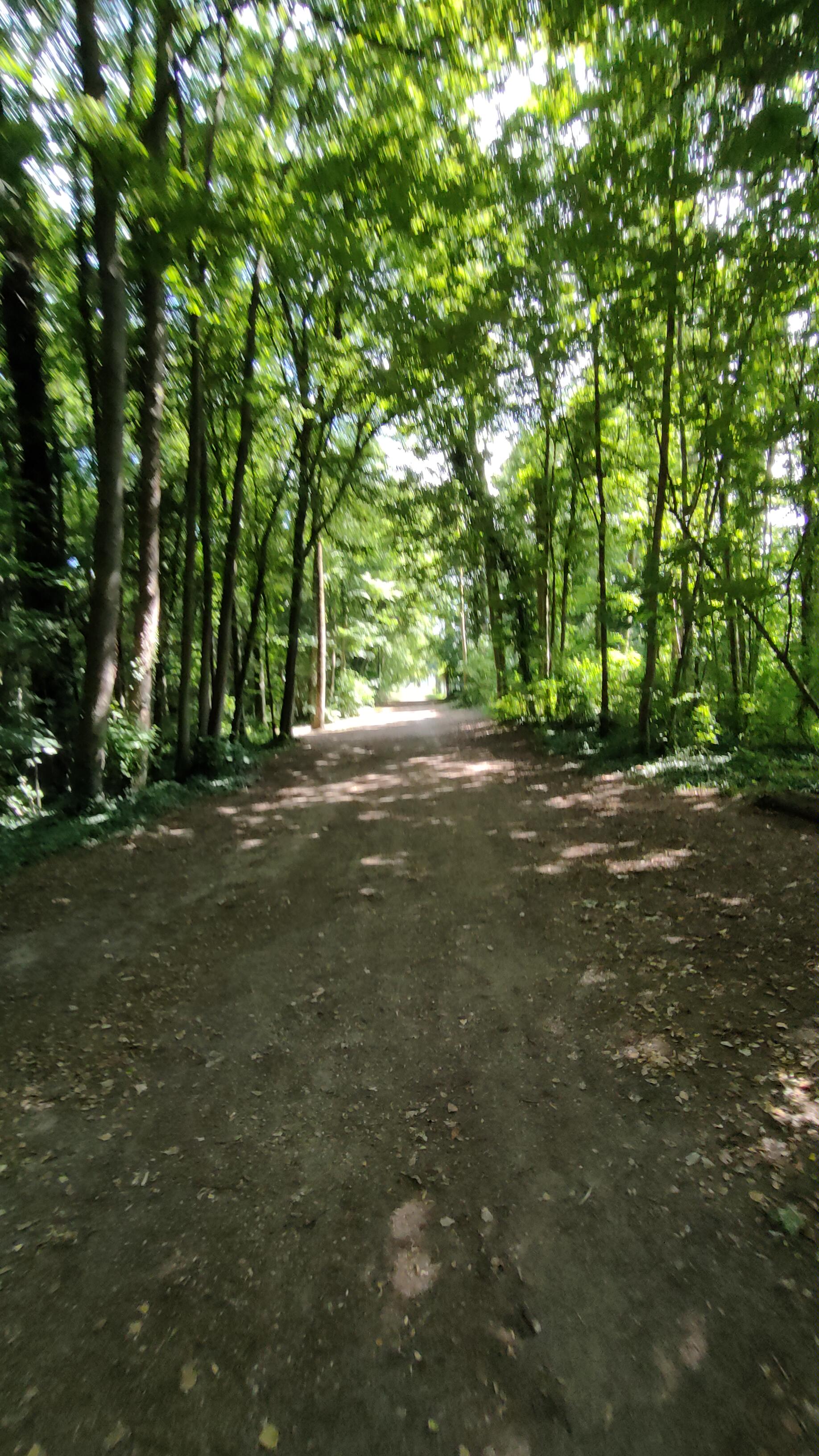 Photo n° 2 de l'avis de Patrice.i fait le 21/06/2022 à 14:22