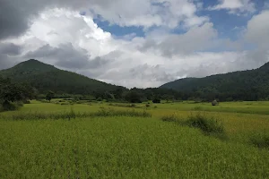 Daringbadi Udayagiri Forest Range image