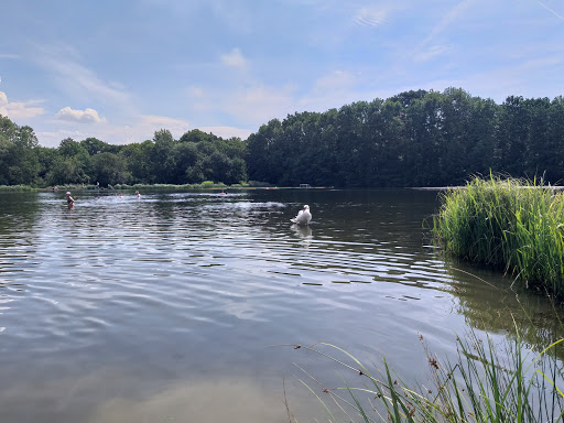 Natural swimming Motol