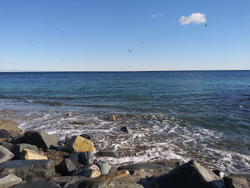 Grocery Store «Brant Rock Market», reviews and photos, 24 Dyke Rd, Marshfield, MA 02050, USA