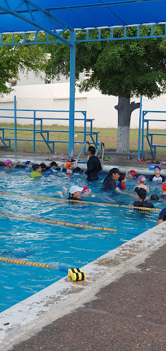 Sport Tri Swim