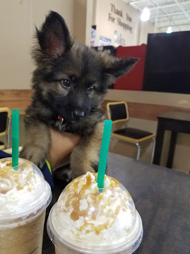 Grocery Store «Bales Marketplace», reviews and photos, 17675 SW Farmington Rd, Aloha, OR 97007, USA