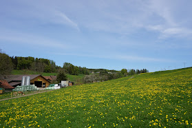 Bauernhof Höfli
