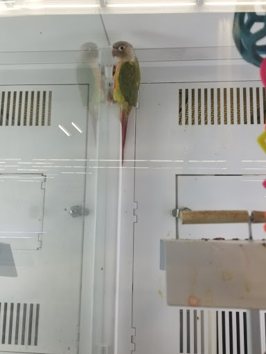 Pet Supply Store «Petco Animal Supplies», reviews and photos, 1985 N Pebble Creek Pkwy, Goodyear, AZ 85395, USA