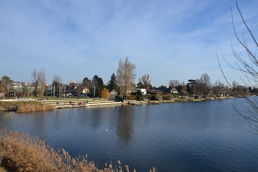 Aussicht auf die Alte Donau