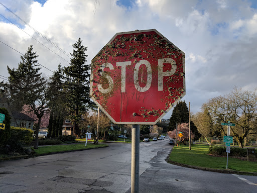 Golf Course «Rose City Golf Course», reviews and photos, 2200 NE 71st Ave, Portland, OR 97213, USA