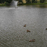 Photo n°1 de l'avis de Anne.o fait le 19/07/2018 à 13:42 sur le  Gondelteich Kiosk Neustadt/Harz à Neustadt/Harz