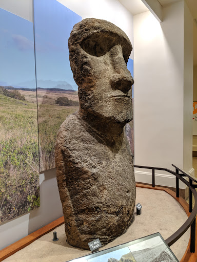 Gift Shop «Smithsonian Museum of Natural History Gift Shops», reviews and photos, 10th St NW & Constitution Avenue Northwest, Washington, DC 20004, USA