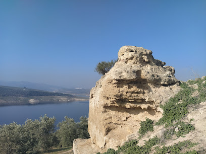 Castillo - Castillo de Cesna o de Turrush - Algarinejo