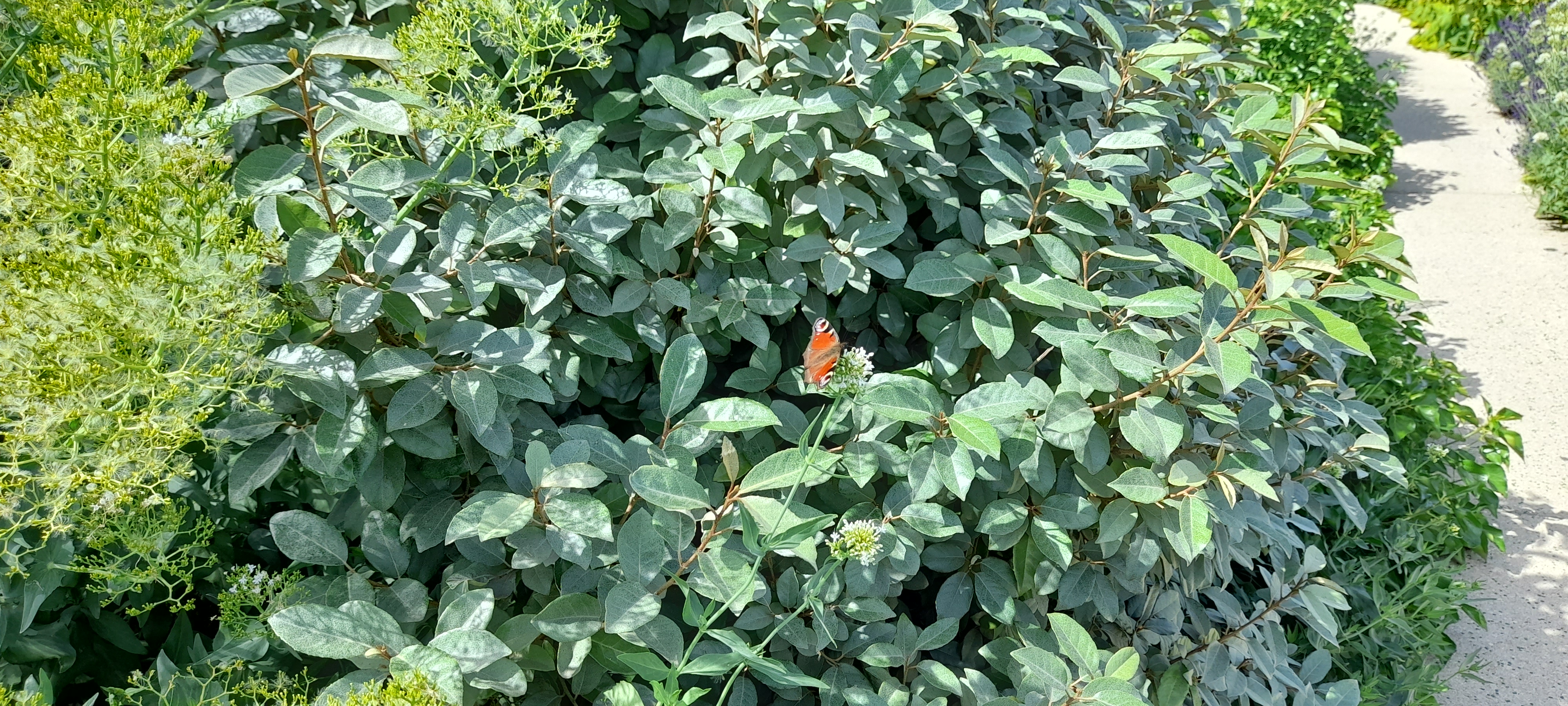 Photo n° 8 de l'avis de D. fait le 17/06/2022 à 17:29