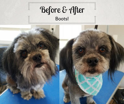 The Dog Barn Grooming & Boarding