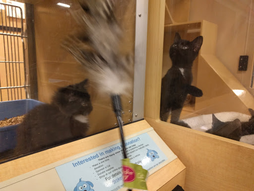 Pet Supply Store «PetSmart», reviews and photos, 160 Alewife Brook Pkwy, Cambridge, MA 02138, USA