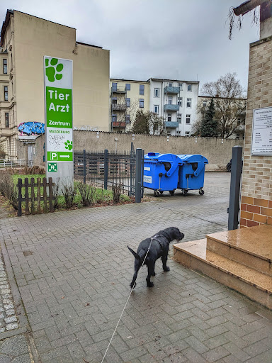 Animal Medical Care Center Magdeburg unter Magdeburg, 