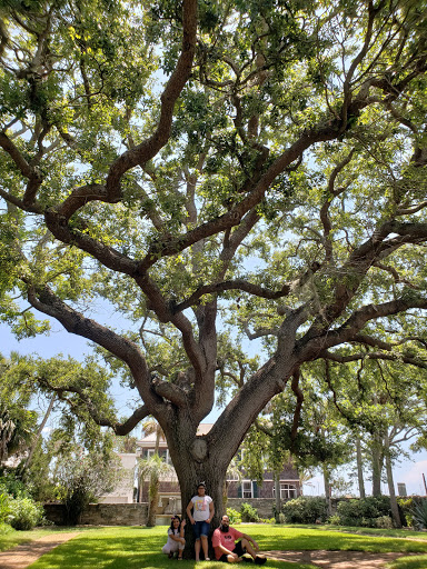 Museum «Gonzalez-Alvarez House», reviews and photos, 14 St Francis St, St Augustine, FL 32084, USA