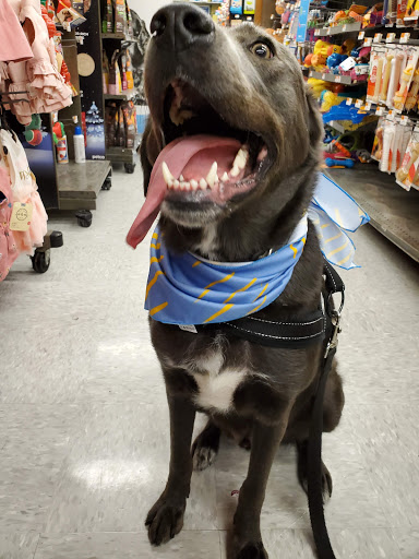 Pet Supply Store «Petco Animal Supplies», reviews and photos, 19 Shining Willow Way, La Plata, MD 20646, USA