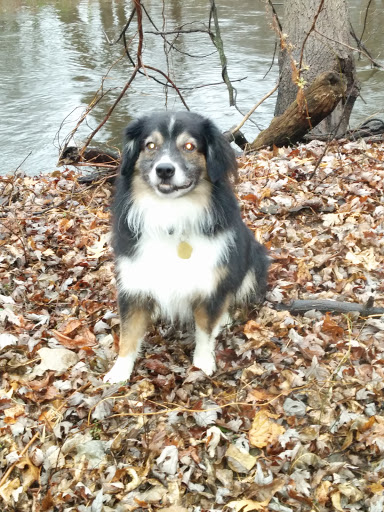 Park «Coon Rapids Dam Regional Park», reviews and photos, 10360 W River Rd, Brooklyn Park, MN 55444, USA