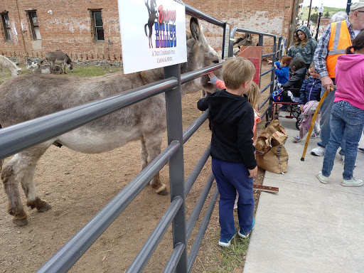 Museum «Old Homestead House Museum», reviews and photos, 353 Myers Ave, Cripple Creek, CO 80813, USA