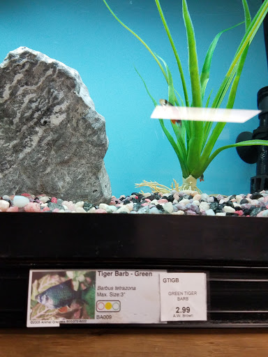 Garden Center «A W Brown Pet & Garden», reviews and photos, 144 Shaker Rd, East Longmeadow, MA 01028, USA