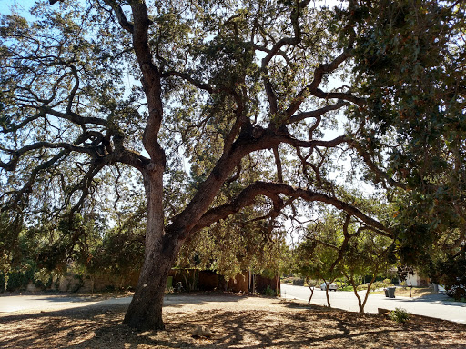 Park «Glancy Oaks Park», reviews and photos, 5292 Glancy Dr, Carmichael, CA 95608, USA