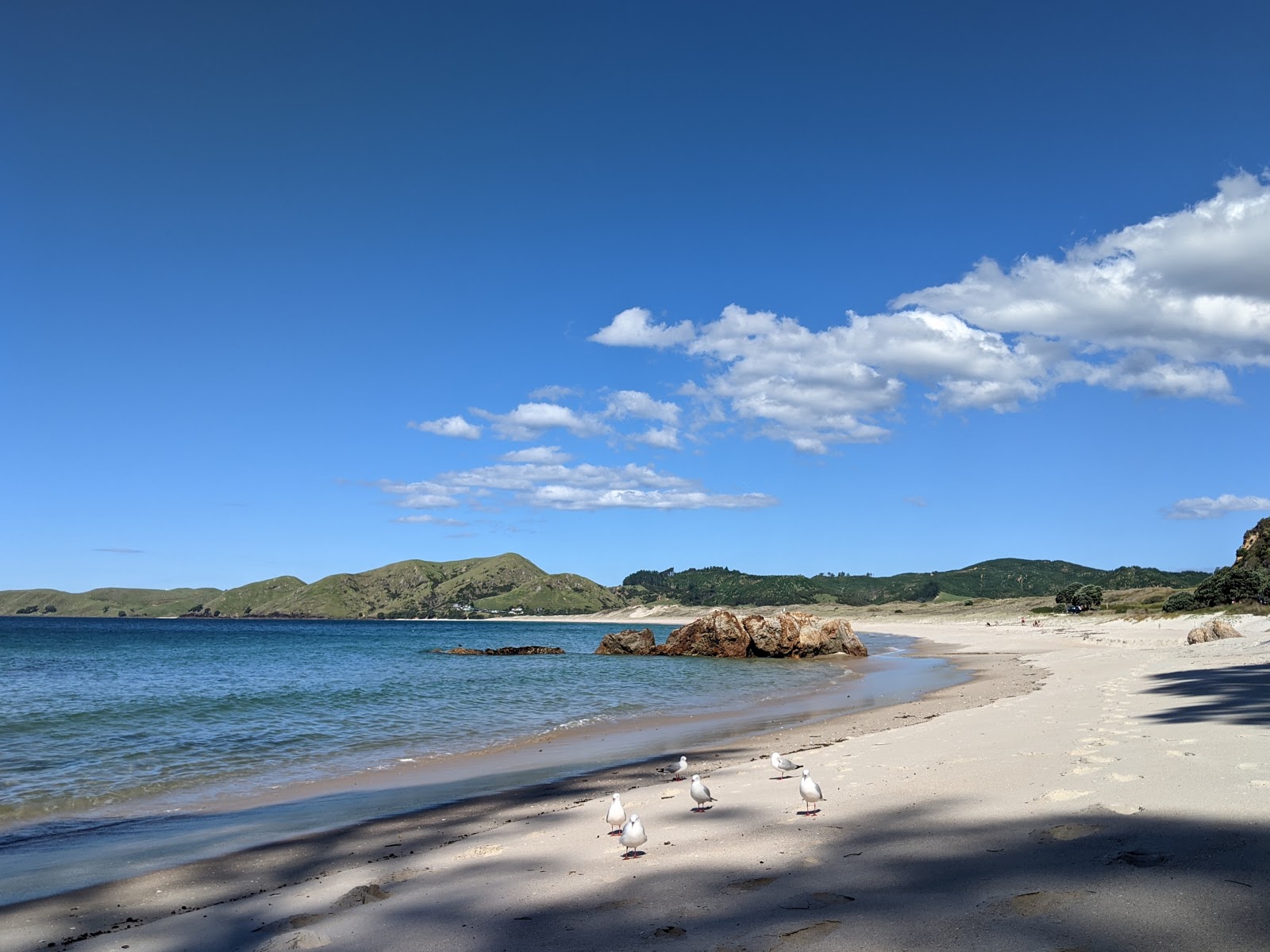 Foto de Otama Beach ubicado en área natural