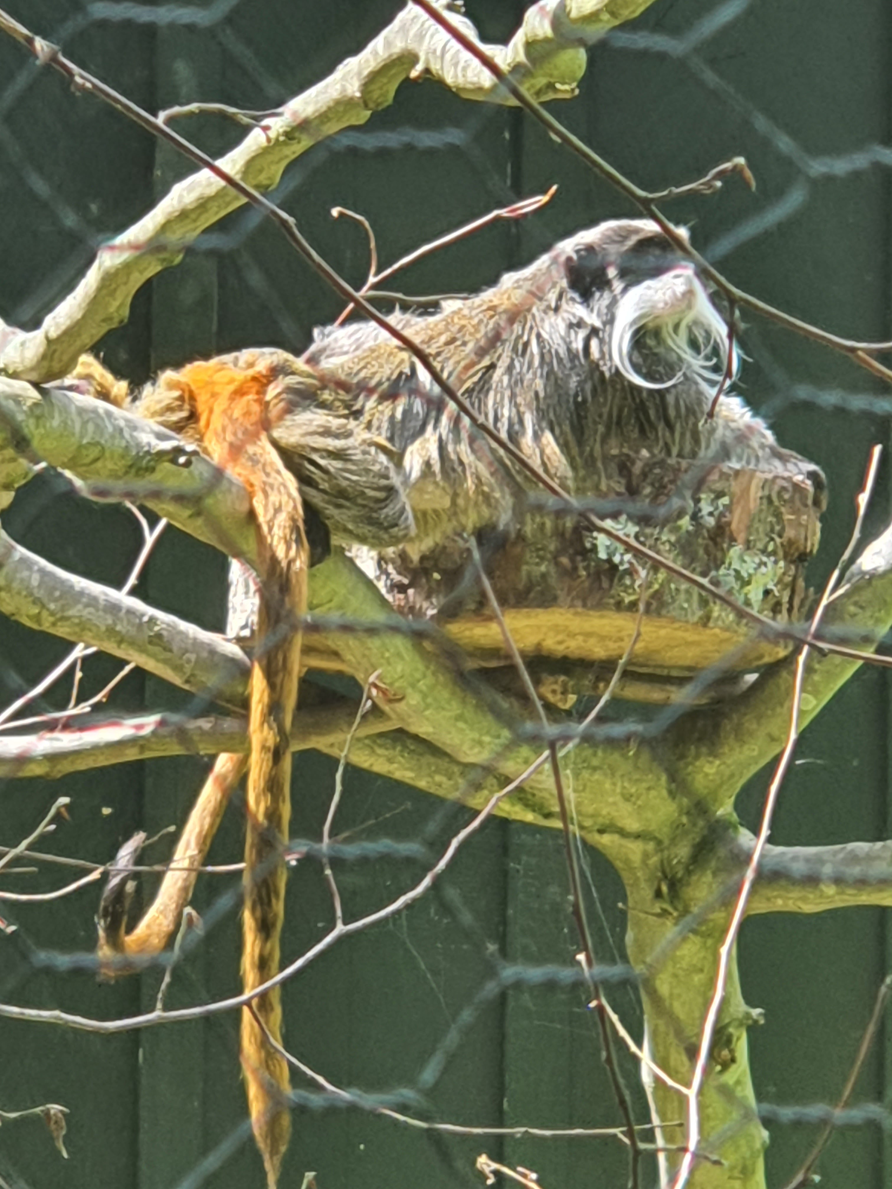 Photo n° 9 de l'avis de Mylene.o fait le 17/07/2023 à 15:57