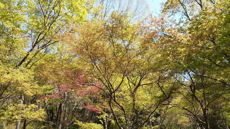 三木山森林公園 ピクニック広場