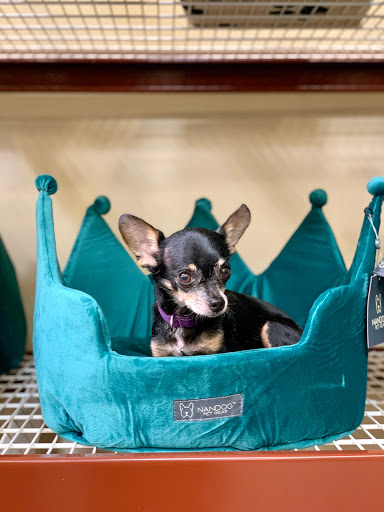 Pet Supply Store «Pet Food Express», reviews and photos, 4220 Long Beach Blvd, Long Beach, CA 90807, USA