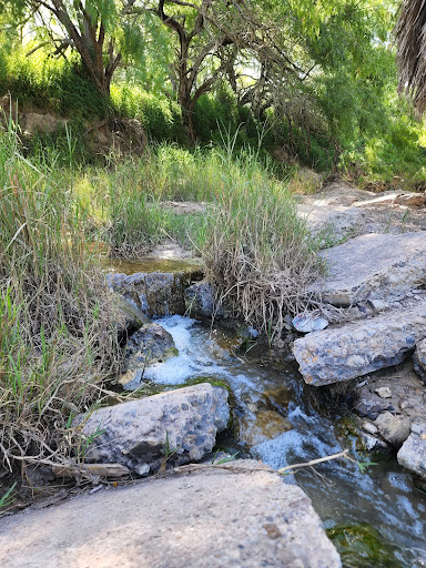 Park «Hugh Ramsey Nature Park», reviews and photos, 1000 TX-499 Loop, Harlingen, TX 78550, USA