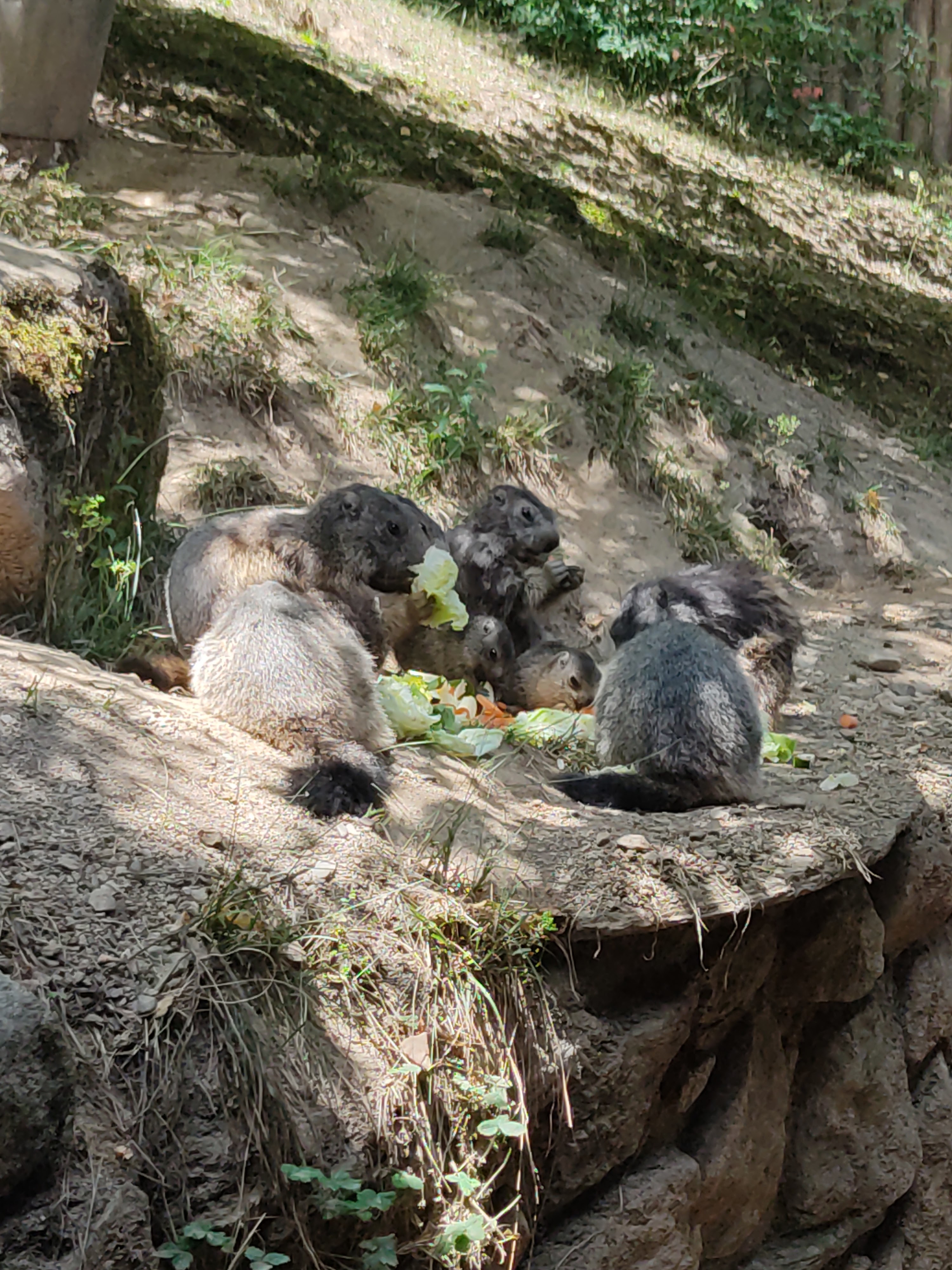 Photo n° 24 de l'avis de David.i fait le 18/11/2019 à 20:29