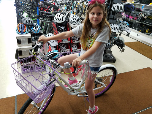 Bicycle Store «Allied Cycle Shop», reviews and photos, 23101 Gratiot Ave, Eastpointe, MI 48021, USA