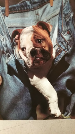 Florist «The Gingerbread House», reviews and photos, 1110 Cedar St, Bandera, TX 78003, USA