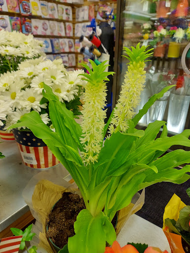 Supermarket «Publix Super Market Plaza Inverness», reviews and photos, 1012 W Main St, Inverness, FL 34450, USA