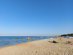 Spiaggia Torre del Cerrano'in fotoğrafı kısmen tatil bölgesi