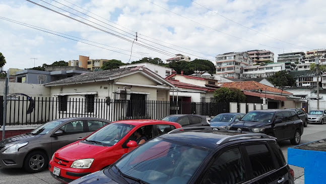 Tamarilla - Guayaquil