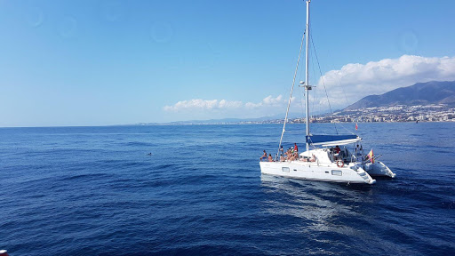 Boat Trips ⚓ Paseo en Barco 🐬 Catamarán Dragon de Oro