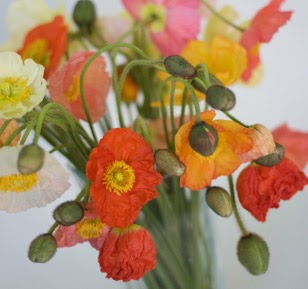 Florist «The Flower Bucket», reviews and photos, 7700 N Lamar Blvd, Austin, TX 78752, USA