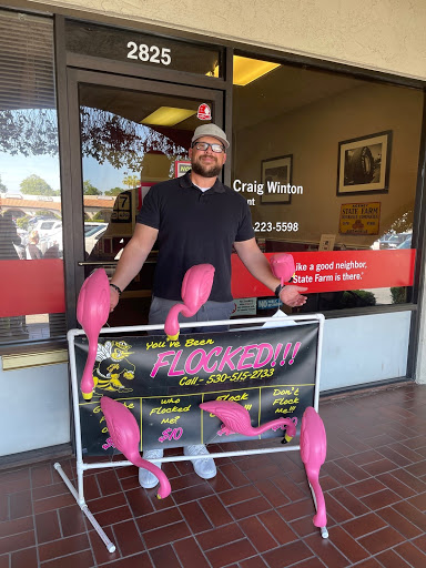 Auto Insurance Agency «State Farm: Craig Winton», reviews and photos