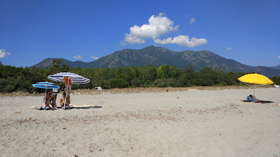 Plage Le Campoloro