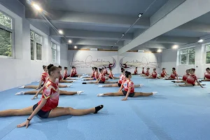 Academia de Gimnastica Laura Cristache image