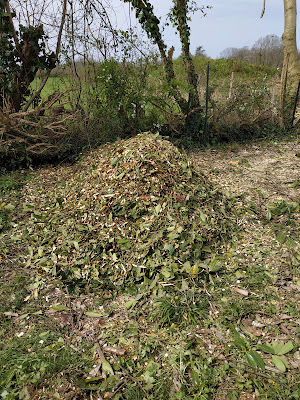 Tom Elagage à Lucq-de-Béarn